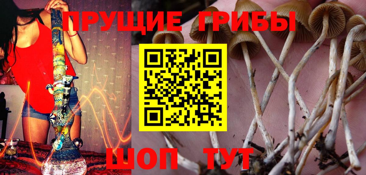 Галлюциногенные грибы Magic Shrooms  Вход с VPN  сколько стоит  Усолье-Сибирское 